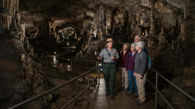 #4 - Specialized Tours and Interpretive Services, Plus the Catch (Image Credits: Gemini)