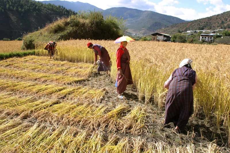 4. Bhutan (Bhutan, CC BY 2.0)