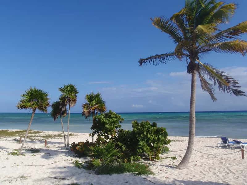 Playa del Carmen and the Riviera Maya: Beach Life at a Fraction of the Price (Image Credits: Flickr)