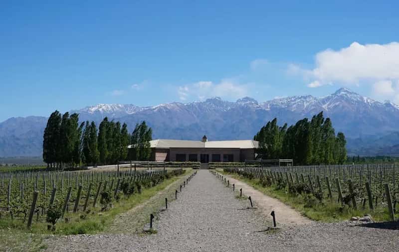 10. Argentina (Mendoza): Wine Country Living at Bargain Prices (Image Credits: Unsplash)