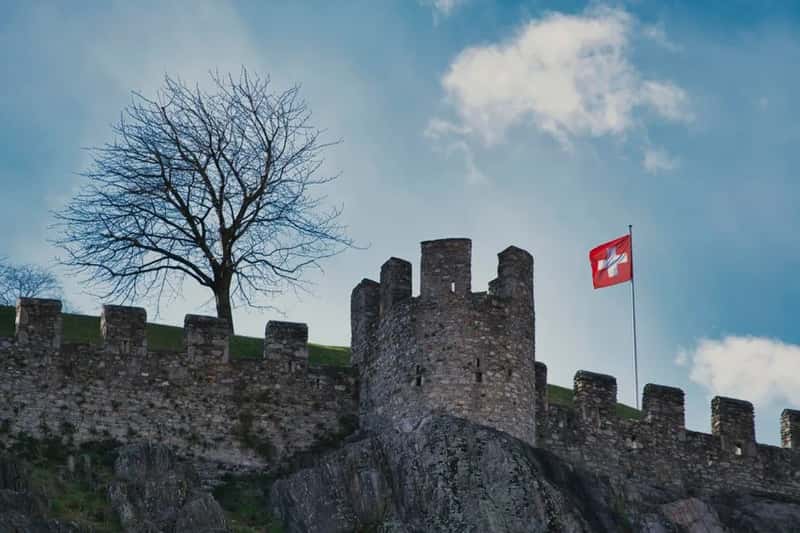 Roots that go back to medieval battlefields (Image Credits: Pexels)