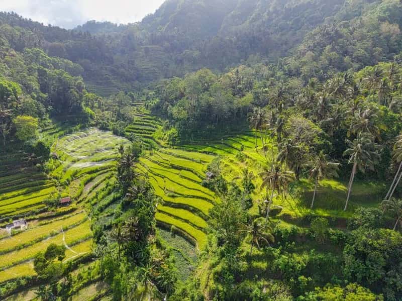 2. Indonesia (including Bali) (Image Credits: Pexels)