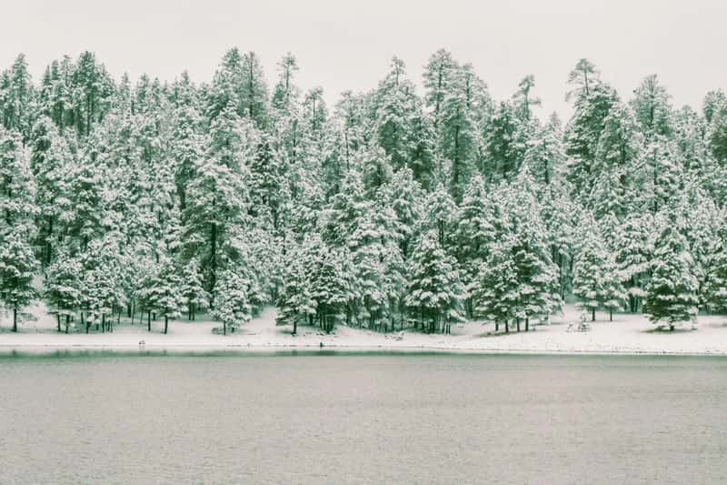 6. The landscape outside Phoenix is more varied than the postcards suggest (Image Credits: Unsplash)