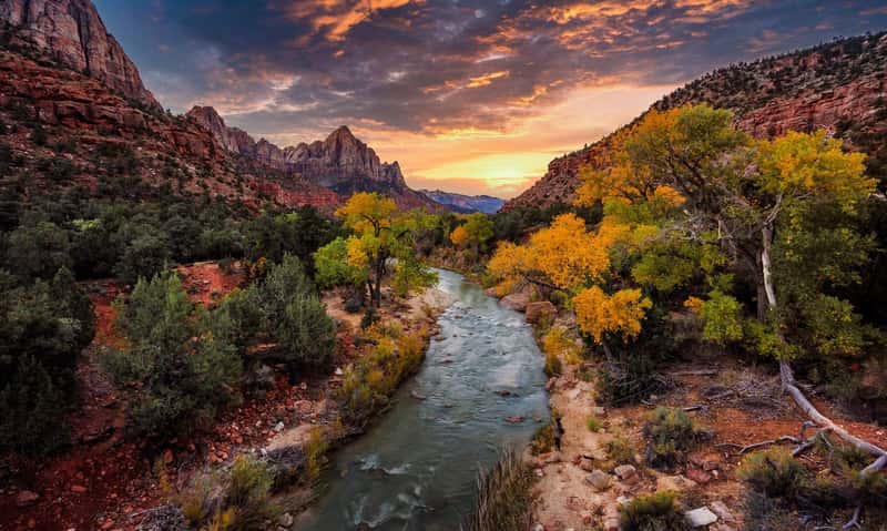 The Real Question: Why Would You Still Choose Zion? (Image Credits: Shutterstock)