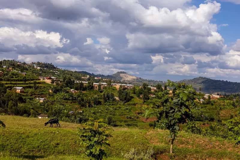 Rwanda (Image Credits: Unsplash)
