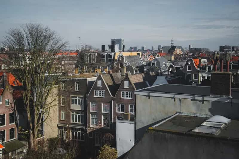 5. The Netherlands (Image Credits: Unsplash)