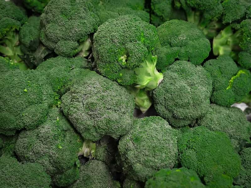 4. Broccoli, cauliflower, and other cruciferous sides (Image Credits: Unsplash)