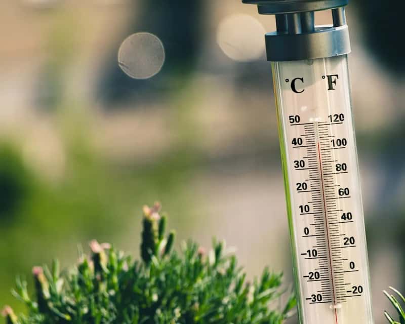 7. Heat and humidity limit outdoor life more than people expect (Image Credits: Unsplash)
