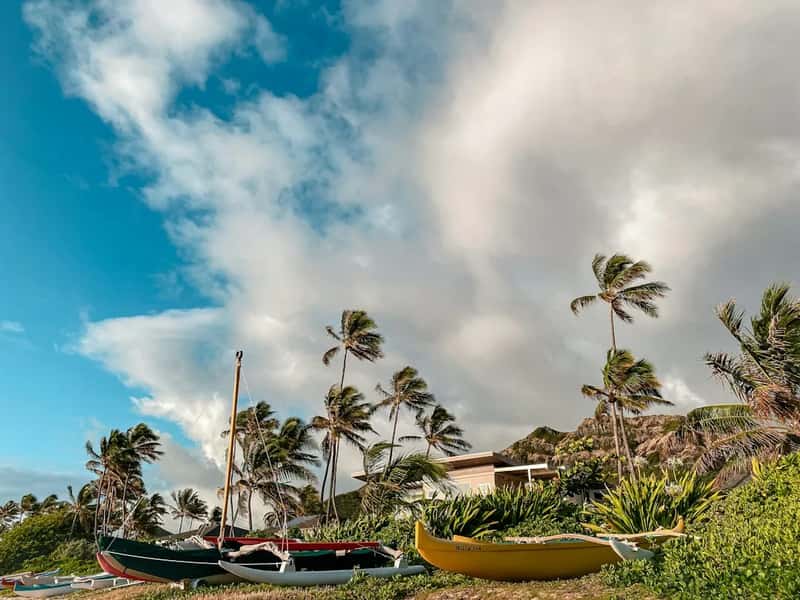 A String of Disasters Across Hawaii (Image Credits: Unsplash)