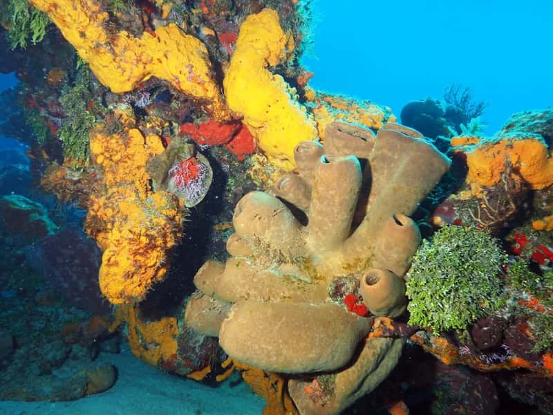 Reefs that earned their reputation (Image Credits: Unsplash)