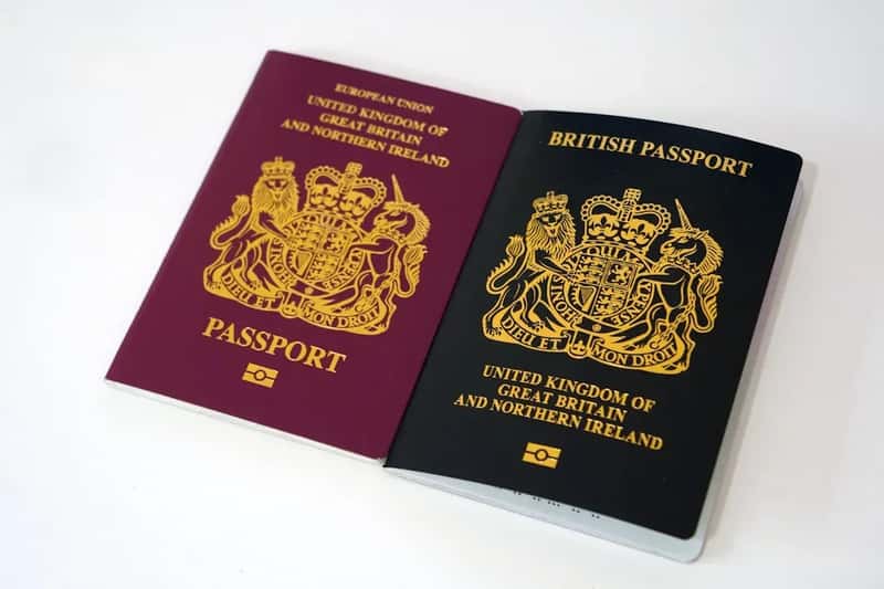 The Bigger Picture: A World Warming Up to Multiple Passports (Image Credits: Unsplash)