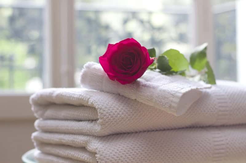 Southern Hospitality: More Than Just Good Manners (Image Credits: Pixabay)