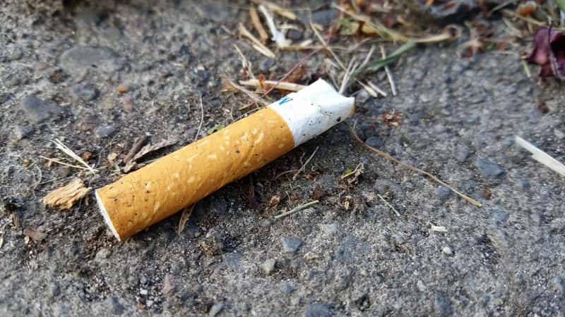 Littering, even something as small as a cigarette butt (revelatornews, Flickr, CC BY 2.0)