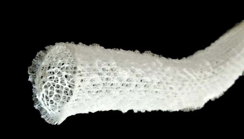 Glass Sponges in the Deep and Cold (National Biological Information Infrastructure, Public domain)