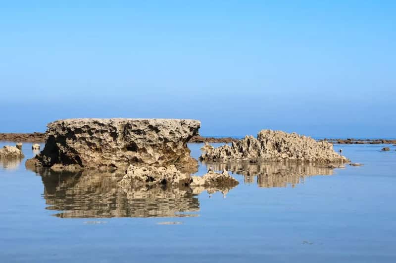 The living rock that quietly built this whole reputation (Image Credits: Pexels)