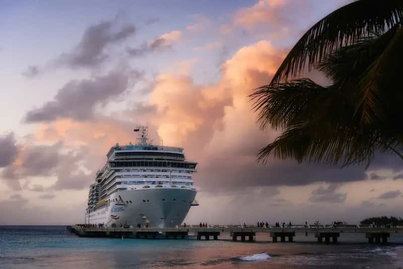 A Fleet Expanding to Meet the Demand (Image Credits: Rawpixel)