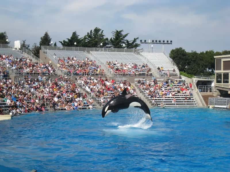 22. SeaWorld Orlando, FL (Image Credits: Unsplash)