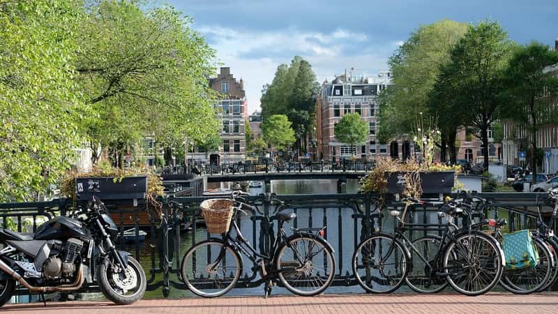 Netherlands: Europe's Multilingual Business Center (Image Credits: Pixabay)