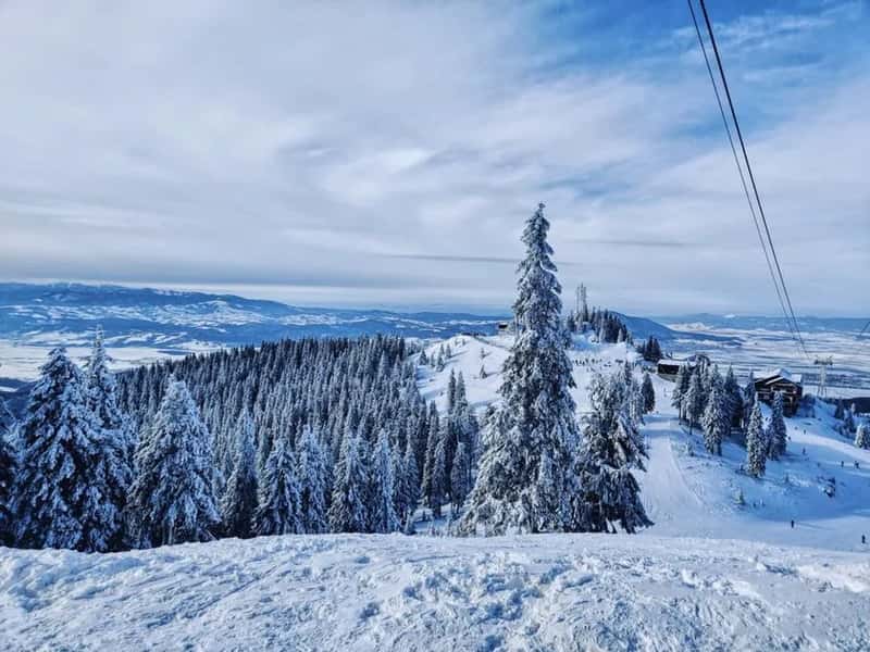 5. Poiana Brașov, Romania (Image Credits: Pexels)