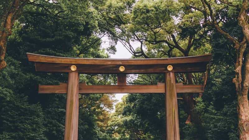 Japan: Ritual Without Religion (Image Credits: Unsplash)