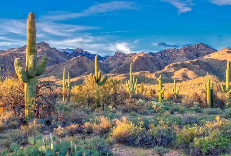 Arizona: Desert Heat, Financial Relief (Image Credits: Unsplash)