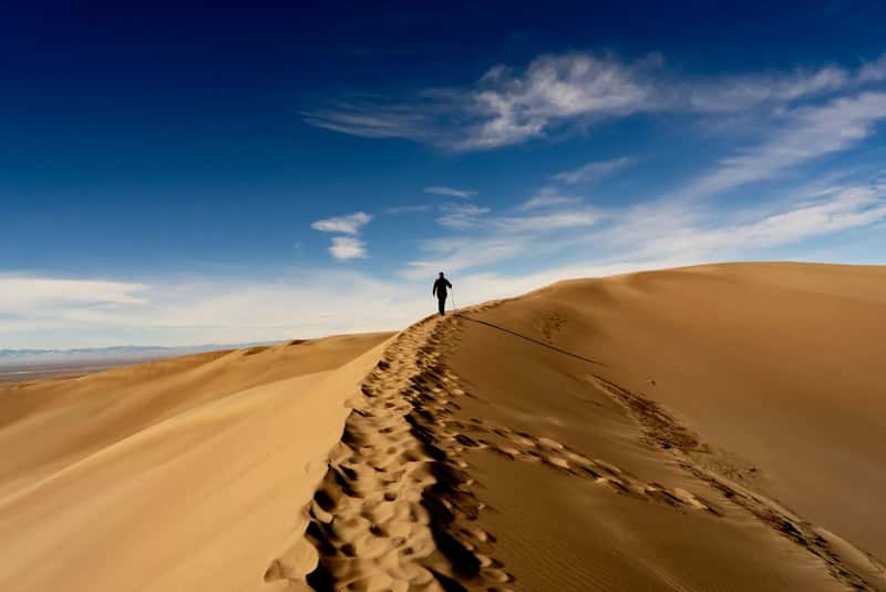 9. Dune Climbing at Sleeping Bear Dunes National Lakeshore (Image Credits: Unsplash)
