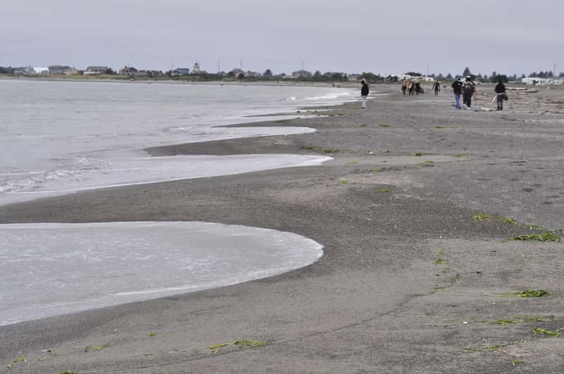 Ocean Shores, Washington – Pacific Northwest Paradise (Image Credits: Wikimedia)