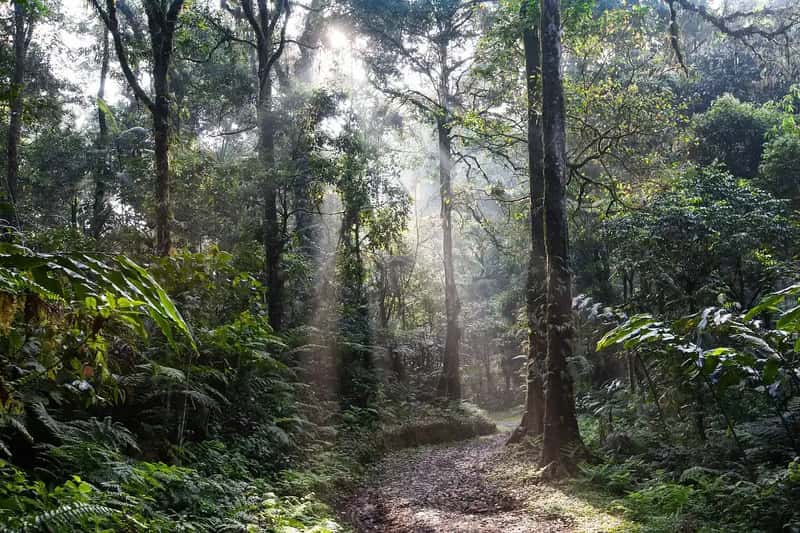 Weather, Rainfall, and the Ridge Season Sweet Spot (Image Credits: Pixabay)