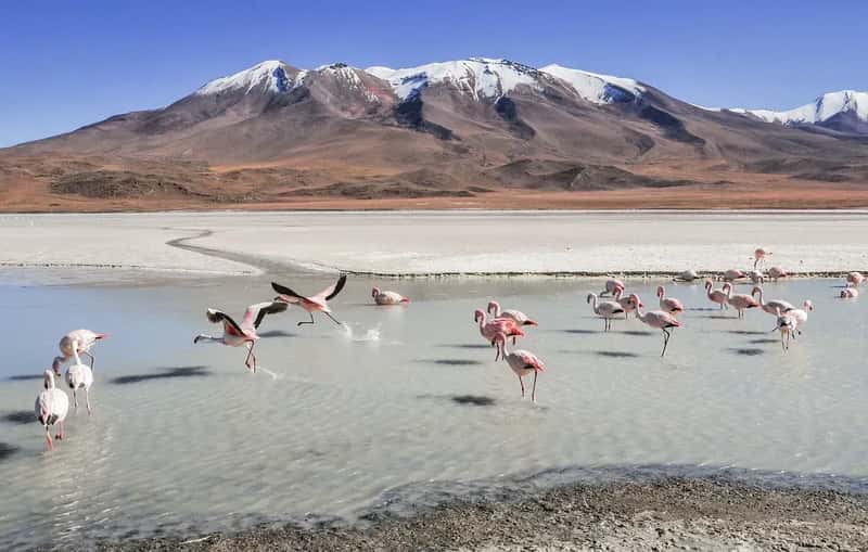6. Bolivia: High Altitude and Moderate Safety (Image Credits: Pixabay)