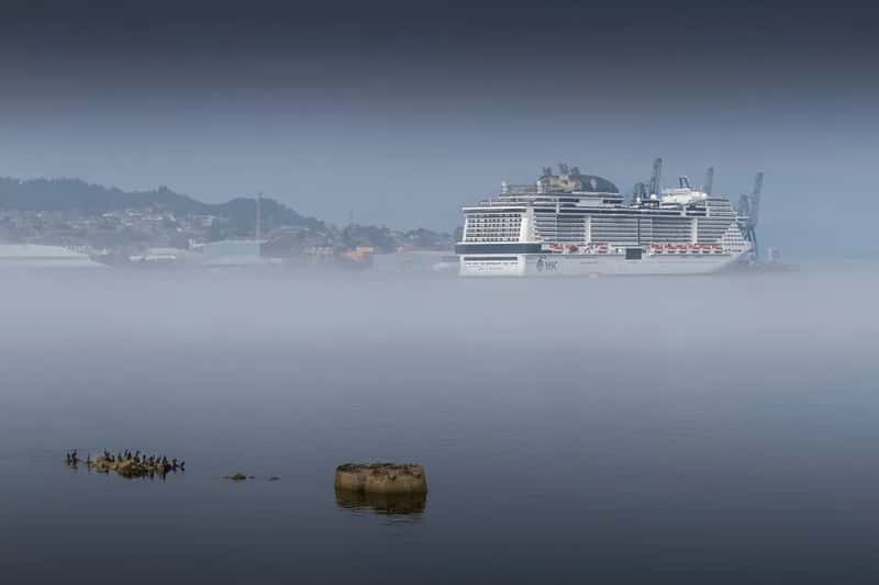 Port Towns Breathe the Exhaust (Image Credits: Pexels)
