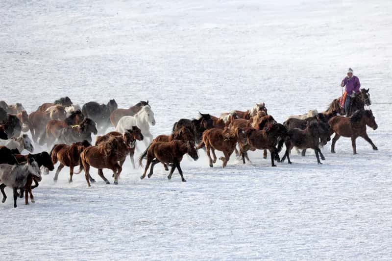 Mongolia: herding traditions still define the menu (Image Credits: Pexels)