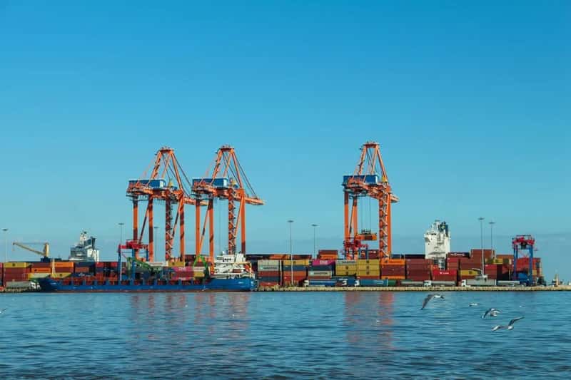 Door-to-door vs. door-to-port service (Image Credits: Pexels)