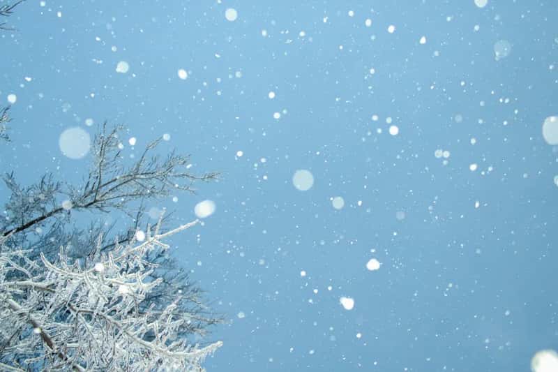 North American Winter: Wet South, Milder North (Image Credits: Unsplash)