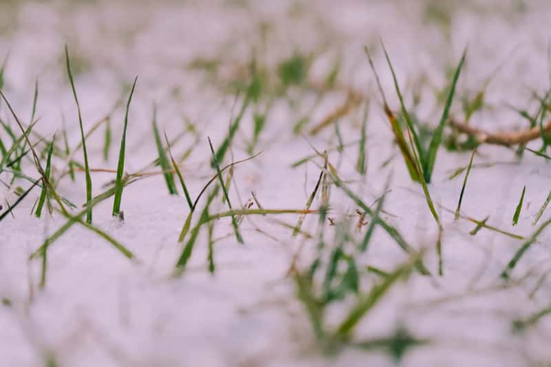 What the Polar Vortex Is, and What It Isn't (Image Credits: Unsplash)