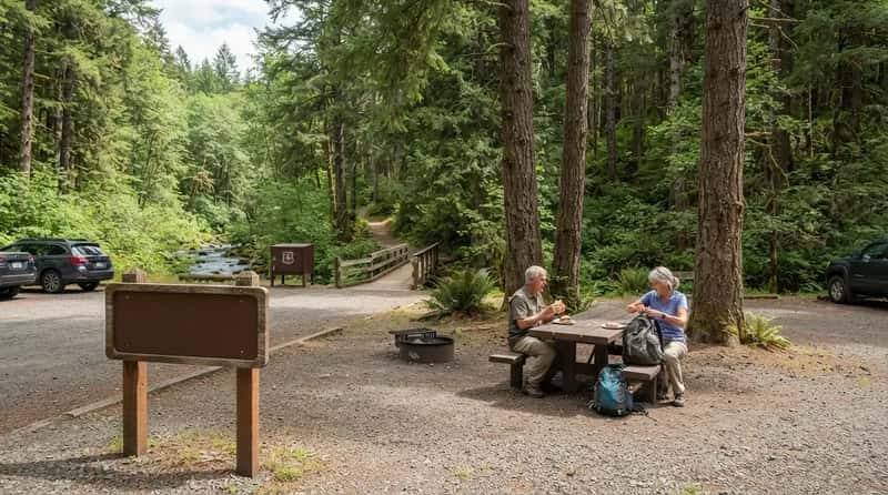 #12 - The Forest Picnic Spots and Trailheads That Charge Pennies You Don't Owe (Image Credits: Gemini)