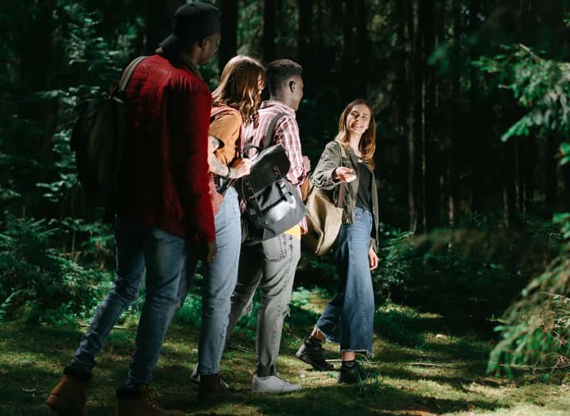 1. The Pre-Flight Audit (Image Credits: Pexels)