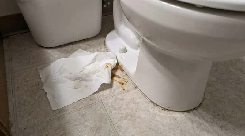 #2 - The Toilet Sign That Guests Read Wrong (Image Credits: Gemini)