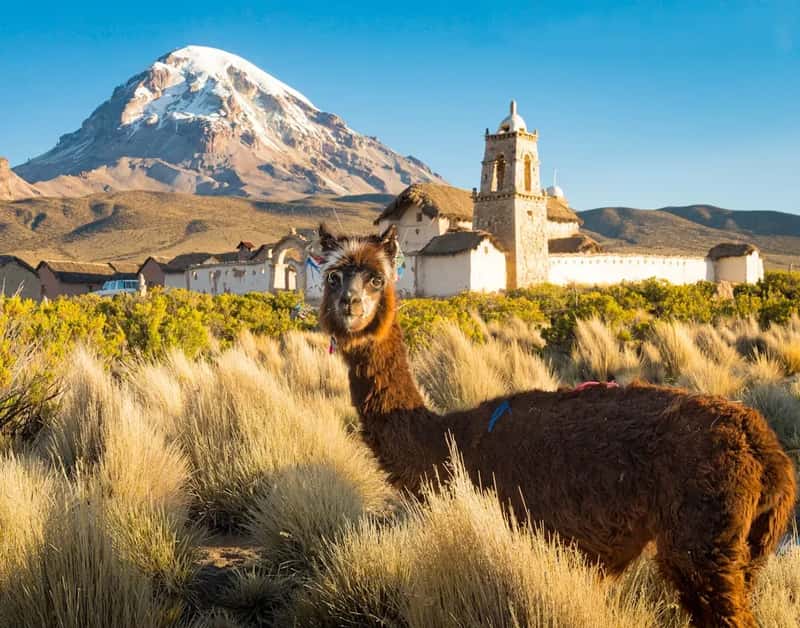 #7. Bolivia - Rising Numbers, Complex Dynamics (Image Credits: Unsplash)