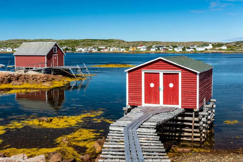 3. Fogo Island, Newfoundland and Labrador (Image Credits: )