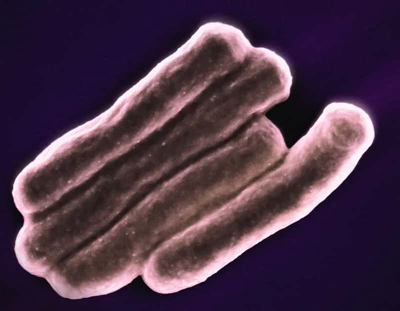 3. The Bacteria Count Will Make You Rethink Everything (Image Credits: Unsplash)