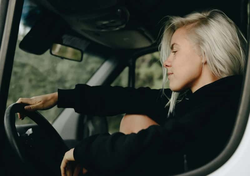 The Passenger Wound (Image Credits: Pexels)