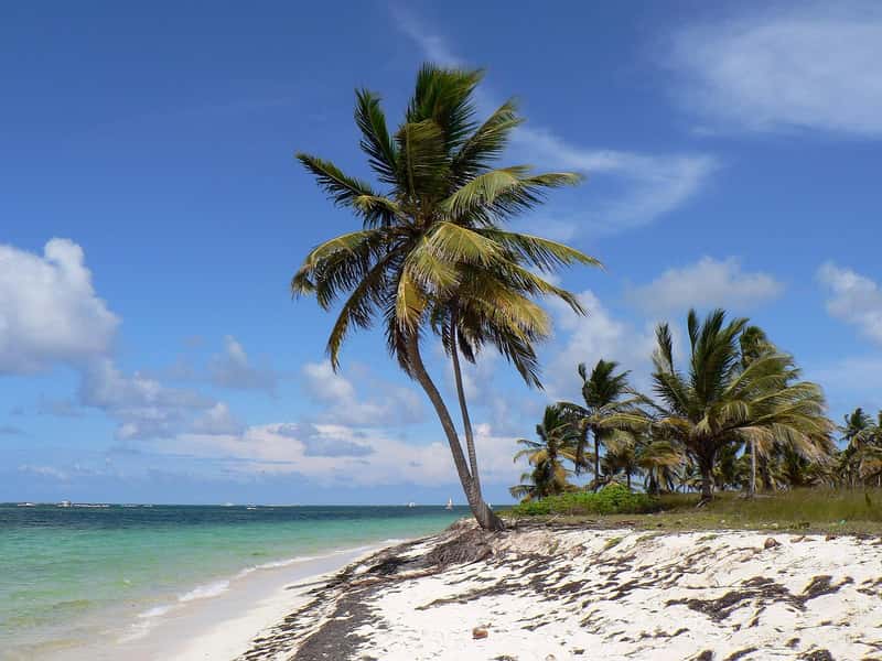 The Dominican Republic's Water Trap (Image Credits: Pixabay)