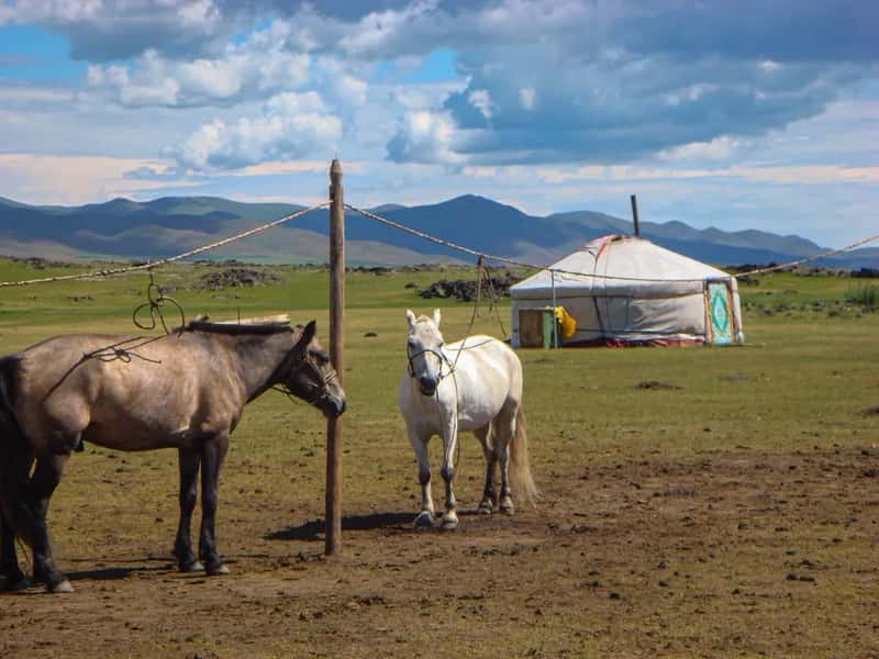 Mongolia: meat as a matter of survival and tradition (Image Credits: Unsplash)