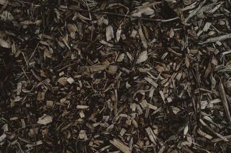#9 - Mulch Does Five Jobs at Once, and Most Gardeners Only Know One (Image Credits: Pexels)