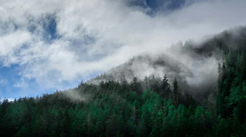 Haida Gwaii, British Columbia (Image Credits: Unsplash)