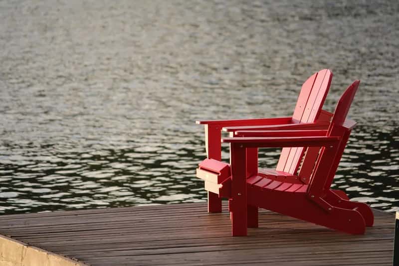 A Decision Rooted in Reality, Not Romance (Image Credits: Pixabay)