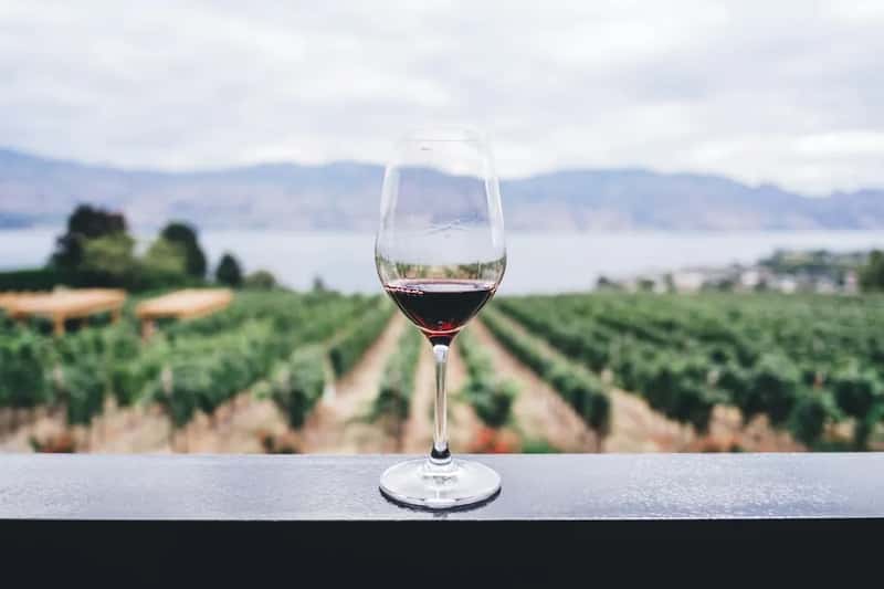 Wine Tastings Without Overspending (Image Credits: Unsplash)