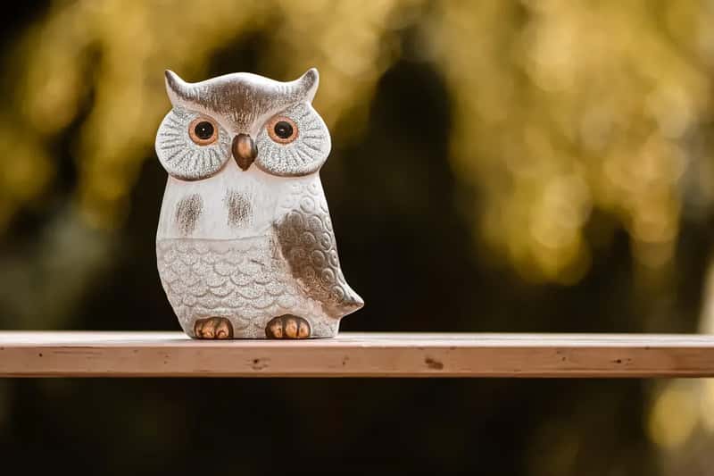 #16 - Ceramic Owl Collections Displayed Everywhere (Image Credits: Pixabay)