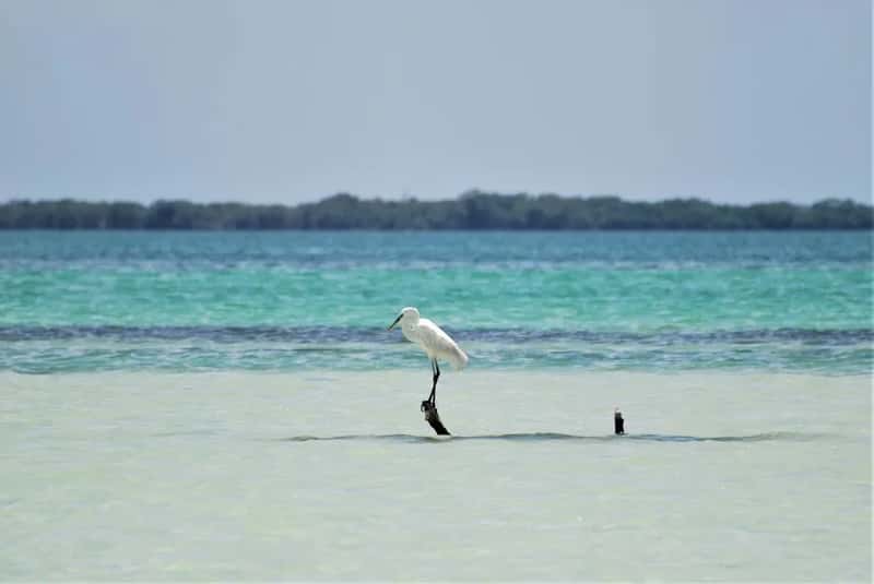 Holbox proved that the Yucatán still has slow corners (Image Credits: Pexels)