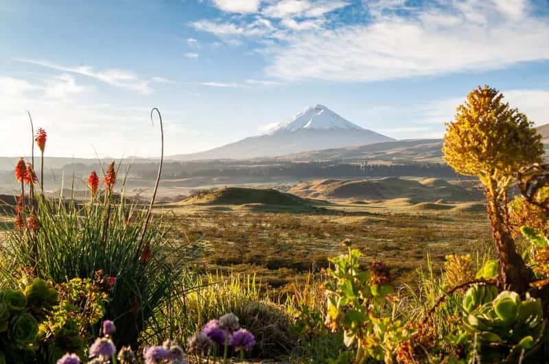Geographic variety few countries can match (Image Credits: Pexels)